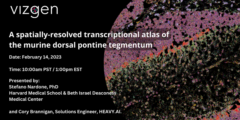 💖 your 🧠 today and join us at 1 PM EST for our #webinar presented by Stefano Nardone from @Harvard/@BIDMChealth & Cory Brannigan from @heavy_ai!

Learn about using HeavyAI to interpret #MERFISH #SpatialGenomics data:
hubs.ly/Q01C93YK0
#AI #NeuroTwitter #AcademicTwitter