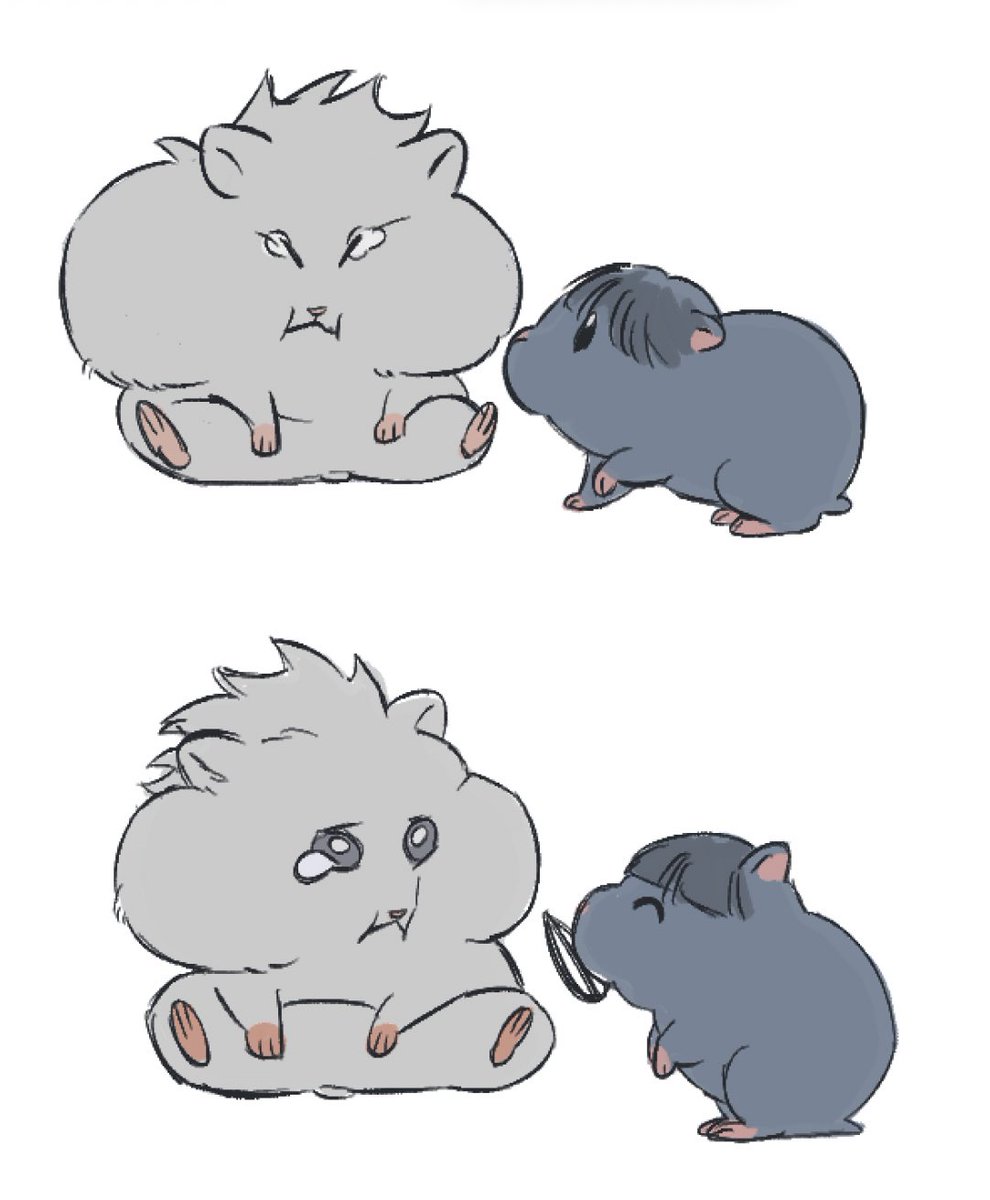 뵤뵤의 기묘한 털절도범 tweet media