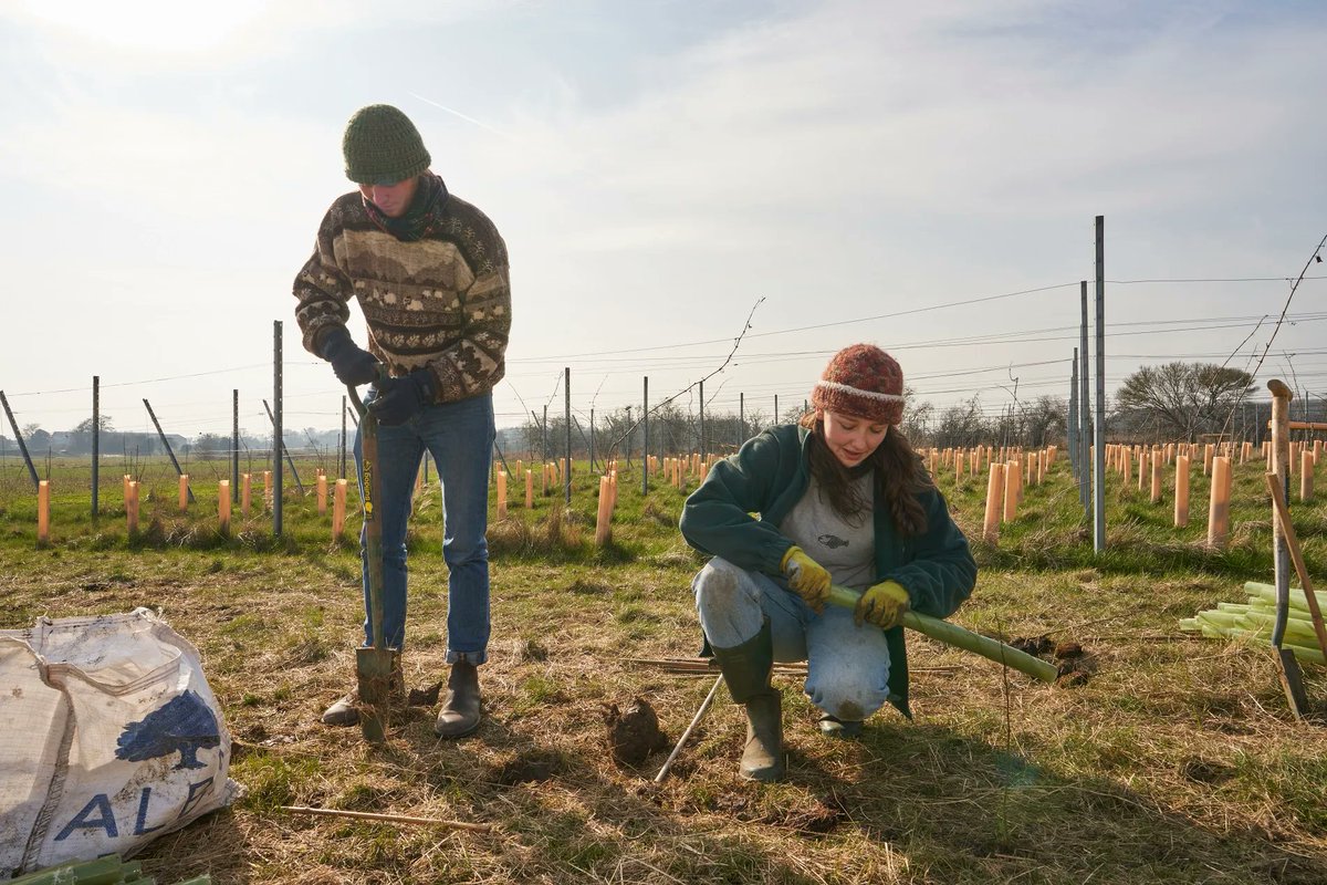 DevonWildlife's tweet photo. Are you aged 13-18 and living in #Exeter? Join our Youth Ranger group to learn new skills and help wildlife on your doorstep – the first session is tree planting on Saturday 25 February! Sign up here 👉 https://t.co/3ZQ3p7HoD7

📸 Richard Osbourne @LudwellLife #ConnectToNature https://t.co/gwsw3eTAPb