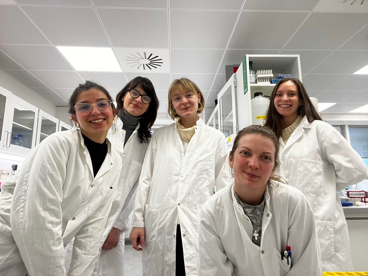 I_BenSB's tweet photo. From @BjornPPedersen lab with love 💕 
#WomenInScience ✨🧬 🔬 https://t.co/fzrFNKOEJb