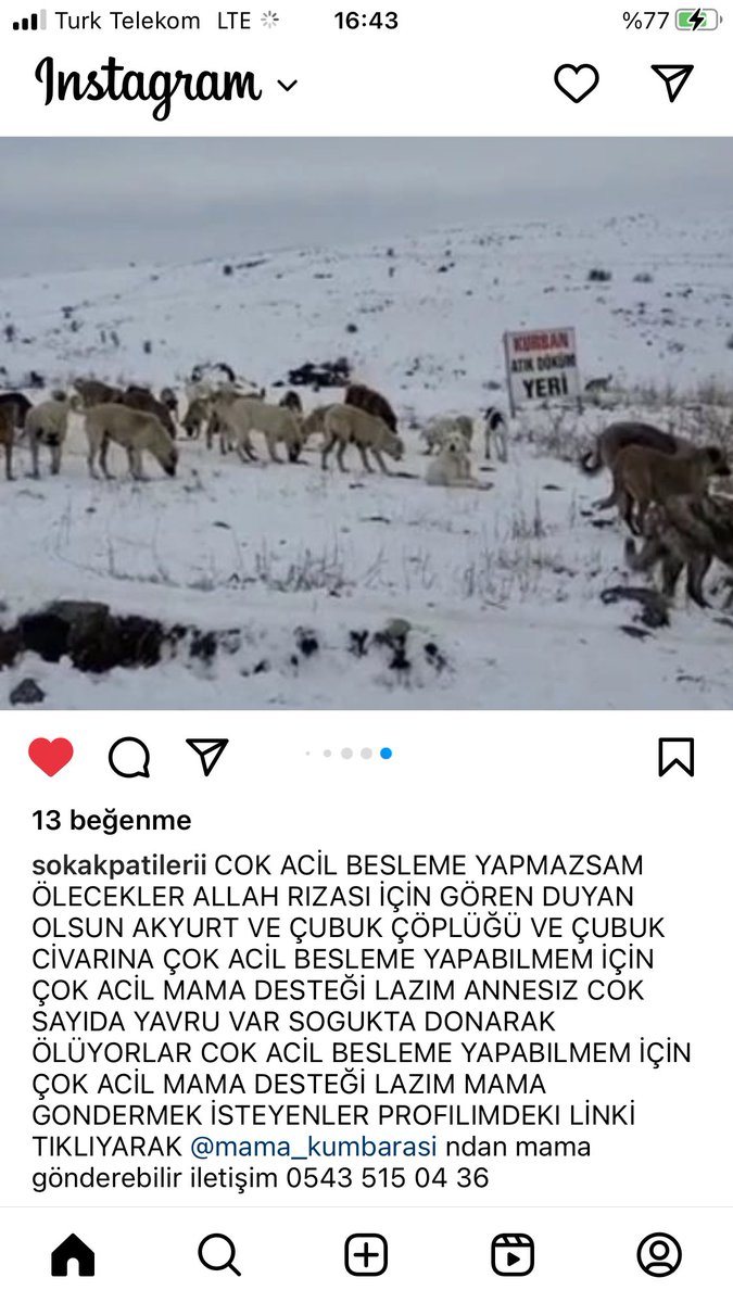 Acil mama yardımı