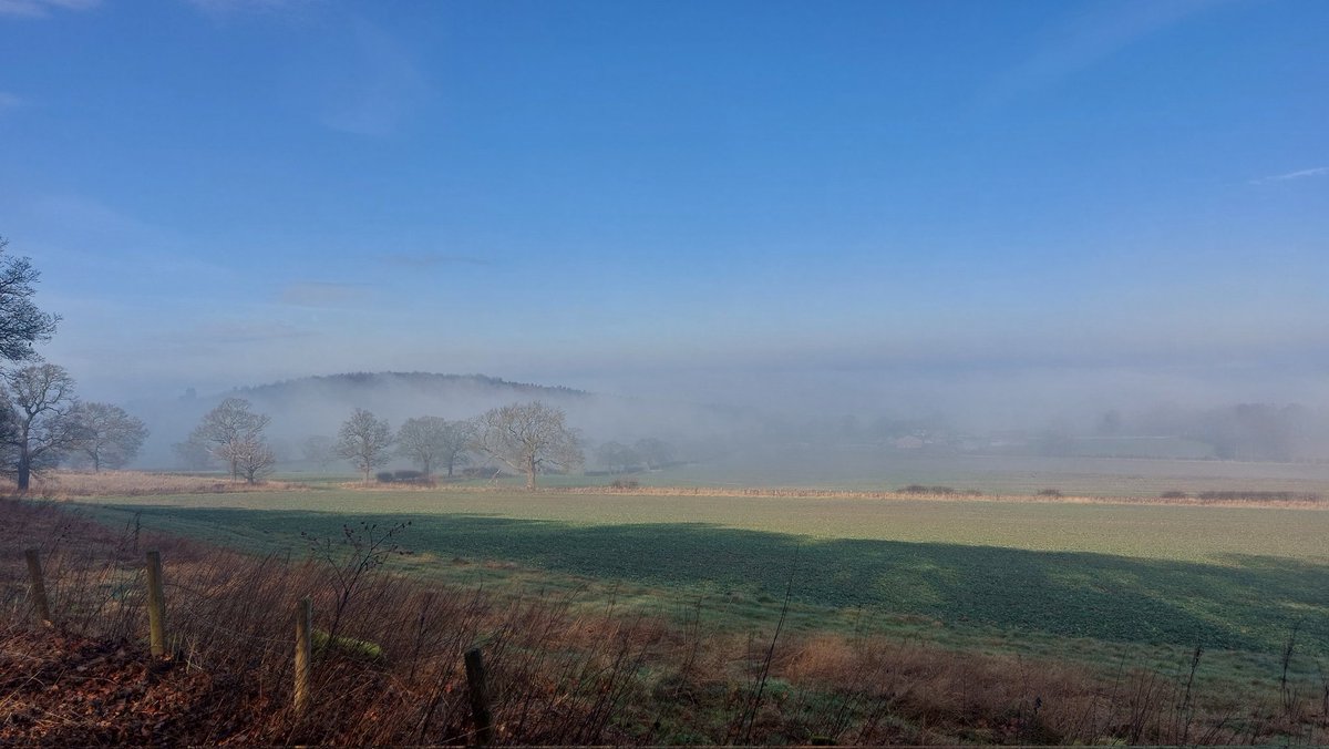 blackiceboy's tweet photo. @LeedsNews The mist clearing early morning at Harewood taken by Caroline Hutchinson https://t.co/a9iYgGHdFy