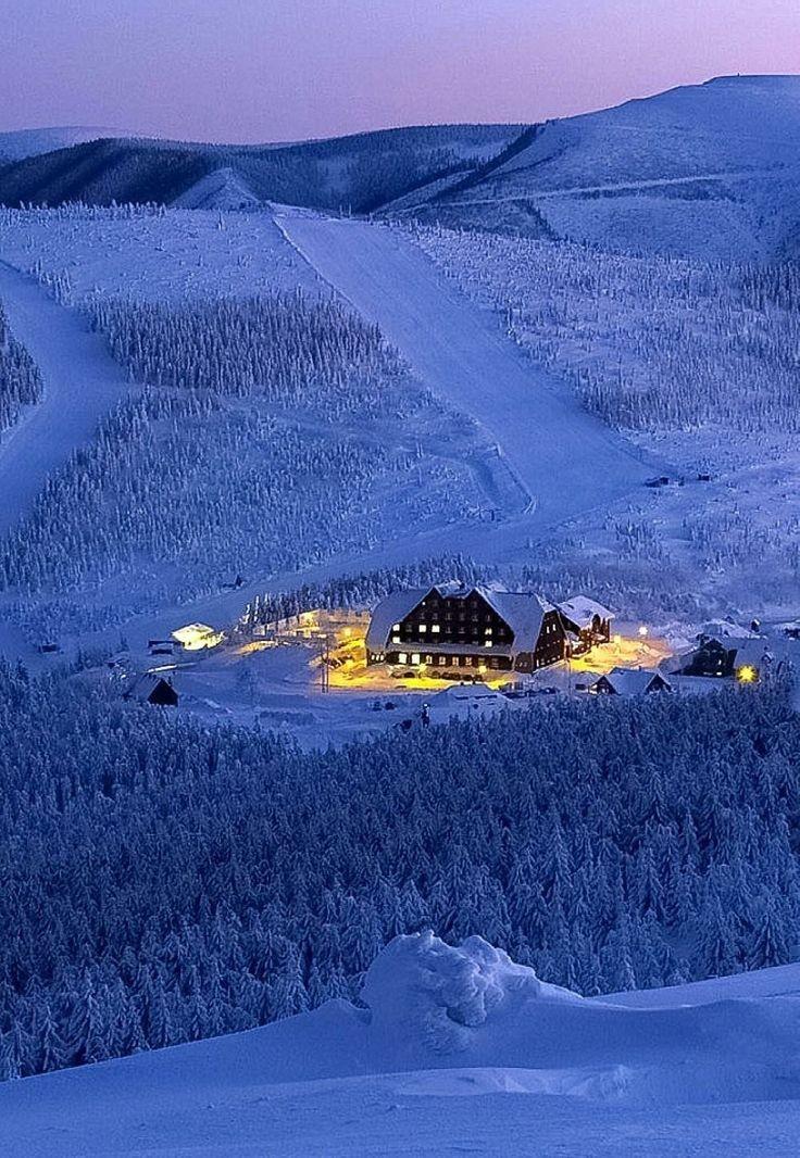 Good Evening dear all ! 💜🧡💙