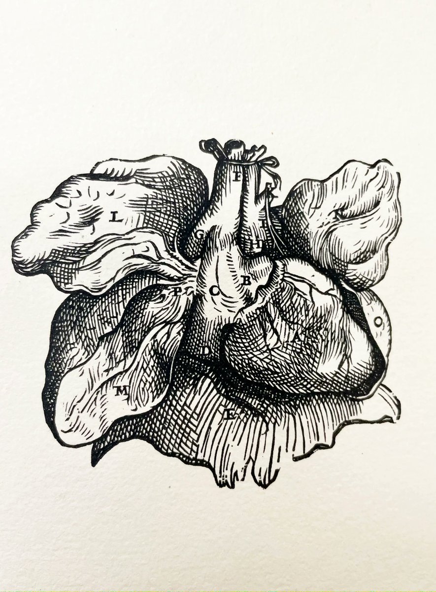ducomarchives's tweet photo. It's the season of love this Valentine's Day and what better way to celebrate it than to explore the history of romance and medicine at #LegacyCenter archives! 💕 https://t.co/Jz9ZLD4EDo