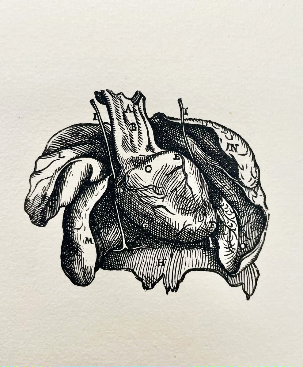 ducomarchives's tweet photo. It's the season of love this Valentine's Day and what better way to celebrate it than to explore the history of romance and medicine at #LegacyCenter archives! 💕 https://t.co/Jz9ZLD4EDo