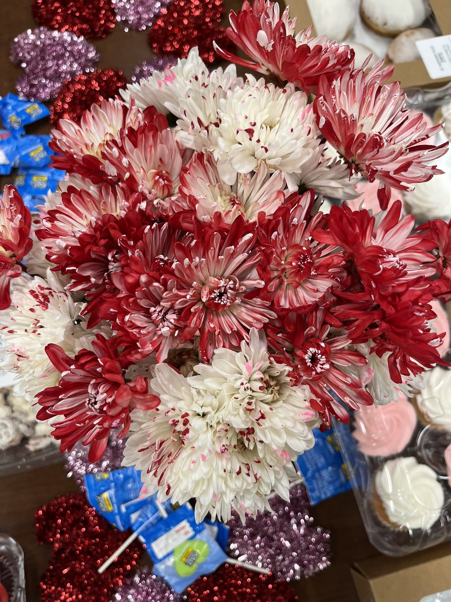 Stacey LaRocco tweet media