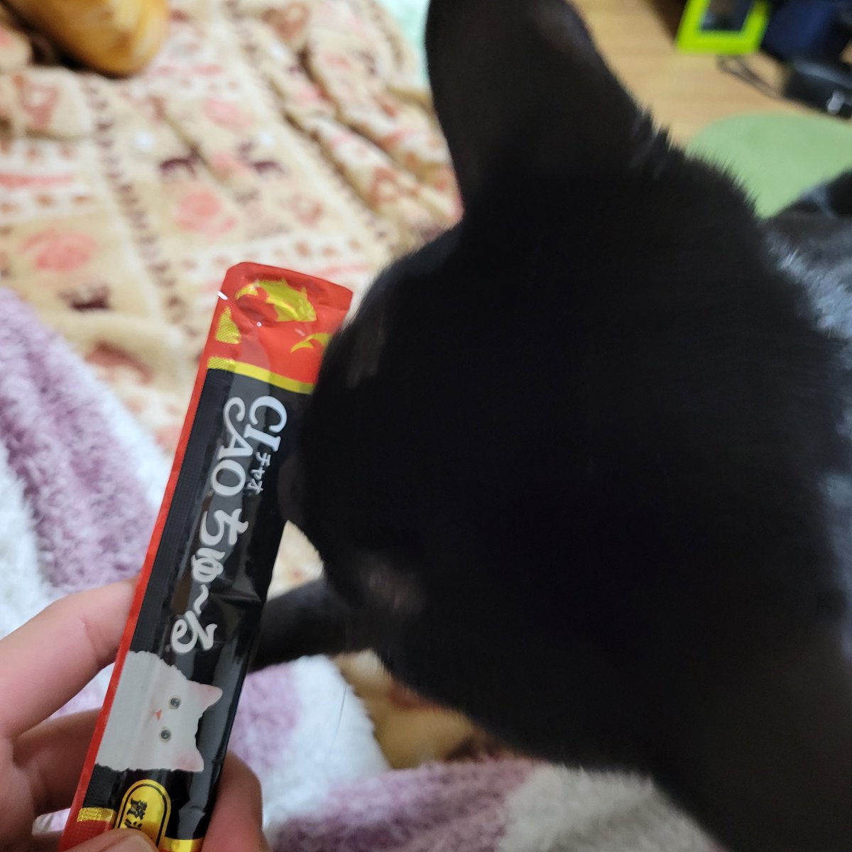 Nan__0516's tweet photo. バレンタインでチュールを貰うなん
#黒猫なん
#バレンタインチュール
#猫のいる暮らし https://t.co/Yret5dSd3v