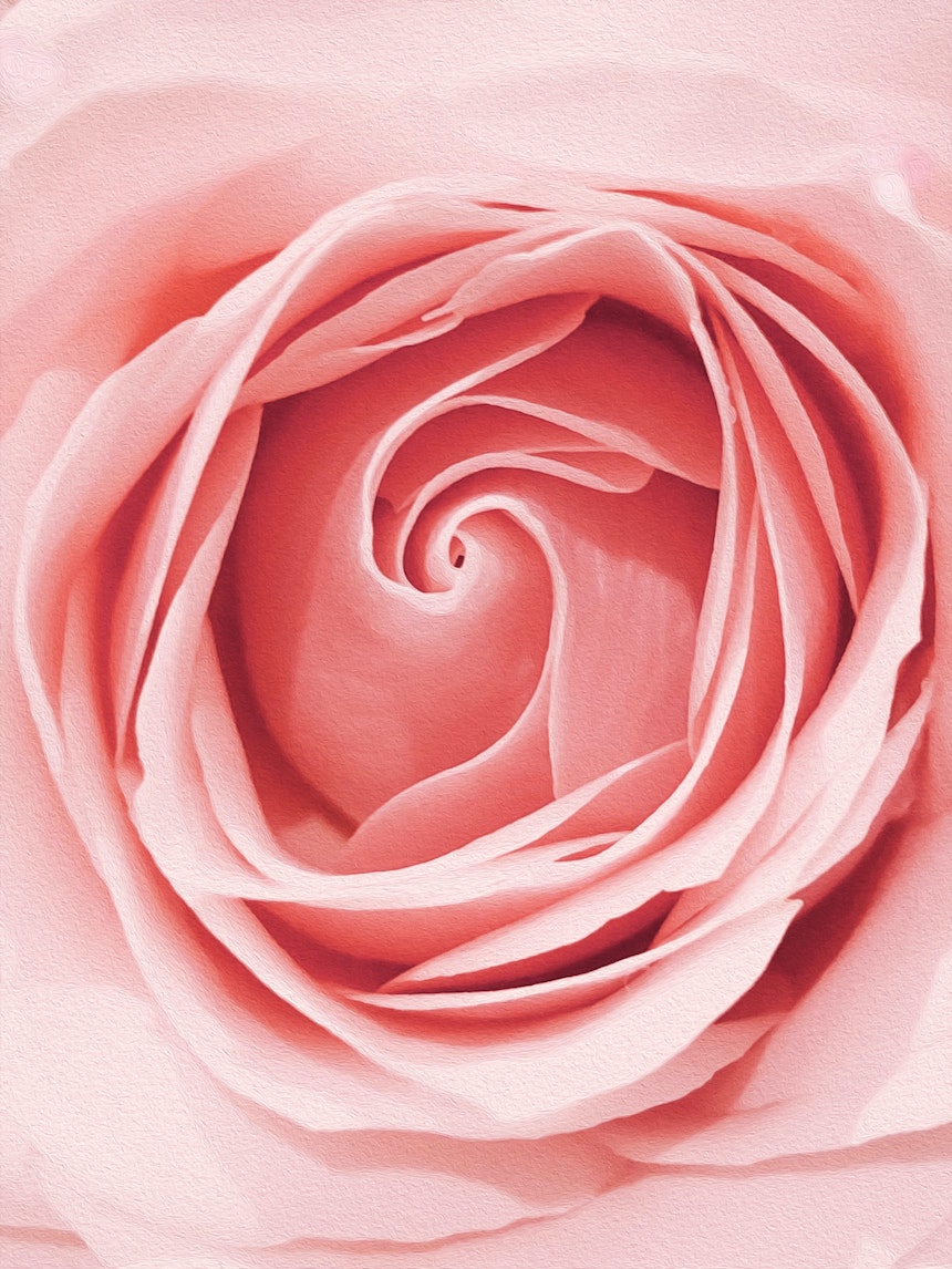AngelShakti's tweet photo. Happy Valentine's Day!
Let's remember, we are love, no matter what.
#love https://t.co/I9XlJYUVGs