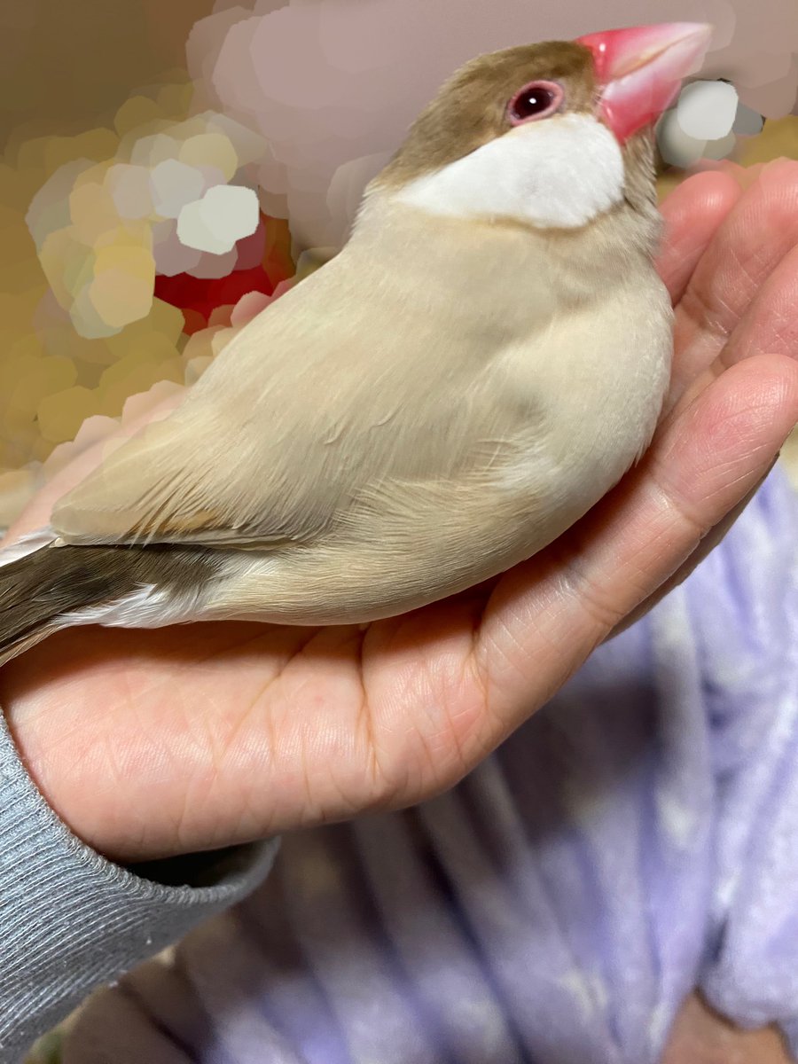 bum_dz's tweet photo. 今日もかわいいね❤️ https://t.co/65EqWfmVQm
