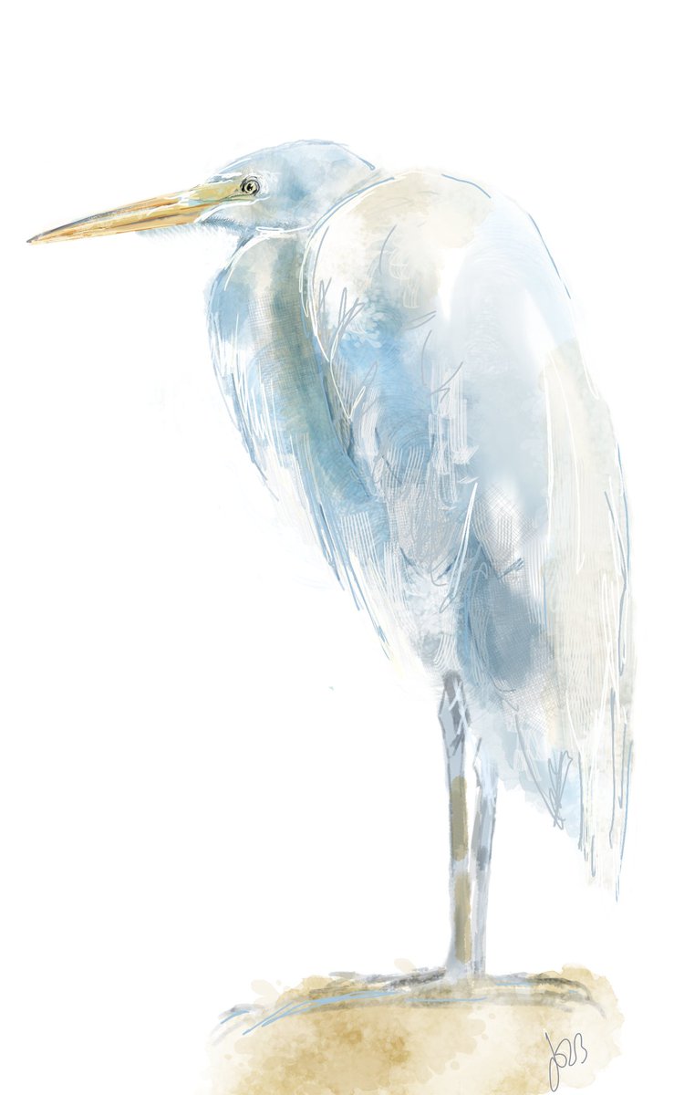 Accidentalarti4's tweet photo. Little digital egret study.. just to get the creativity going again https://t.co/ZQRR8lEFVd
