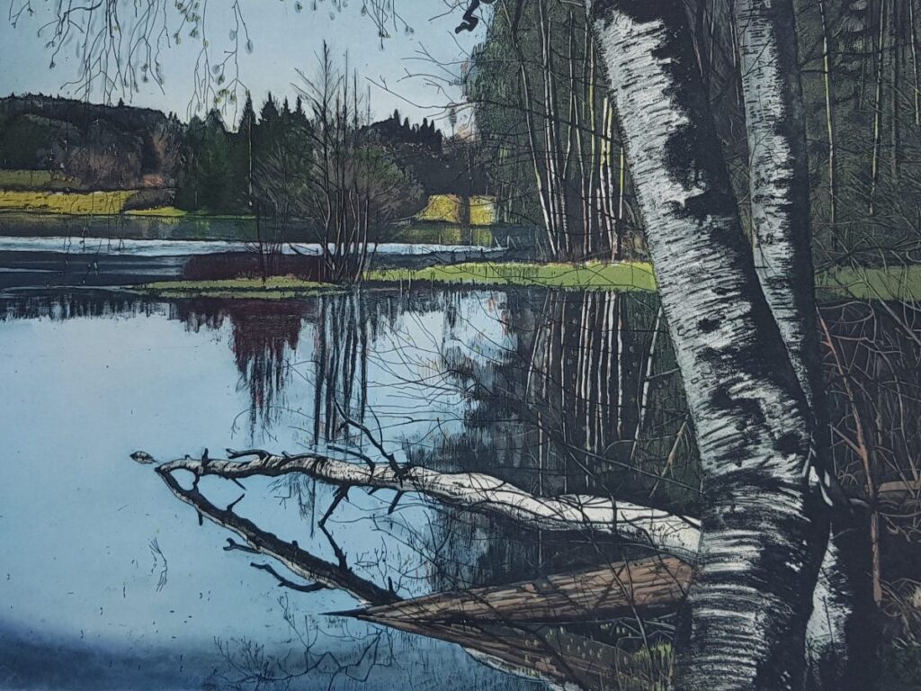 Koda03048551's tweet photo. Still Waters Run Deep by Irish artist Louise Leonard
#art #etchings #aquatints #artprints https://t.co/Xyjebts8SN