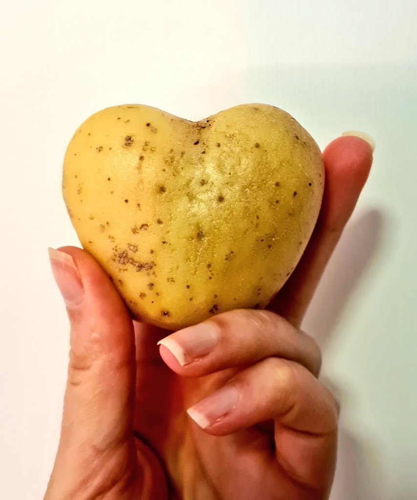 NFU Holland (Lincs) County Adviser tweet media