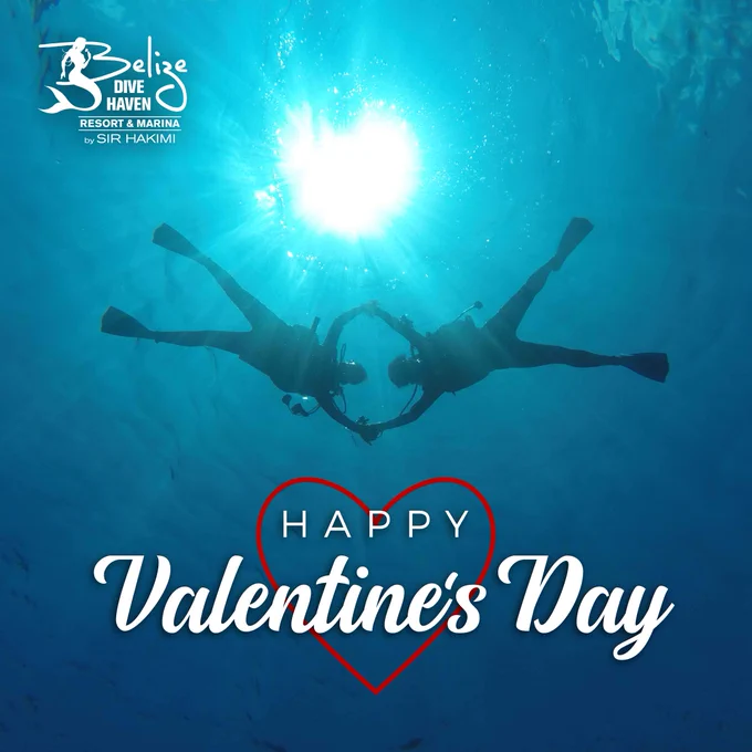 Image from Belize Dive Haven (@BelizeDiveHaven)