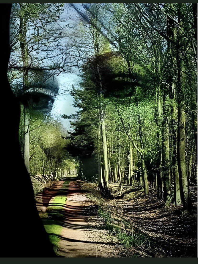 Humans are not above #nature, we are part of nature.