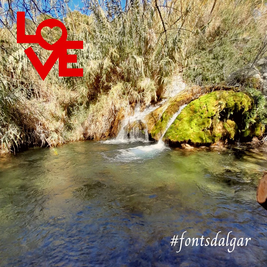 Desde Les Fonts d'Algar con 💚

Enamorados de nuestro entorno.

¿A ti, que es lo que más te gusta?
👇Te leemos en los comentarios. 

#fontsdalgar 
#callosadensarria 
#costablanca 
#comunitatvalenciana