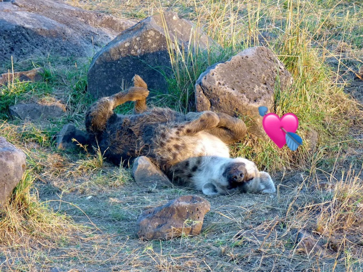 HourlyYeen (@hourlyyeen) on Twitter photo 