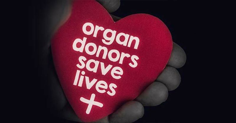Did you know that in addition to Valentine's Day, Feb. 14 is also National Organ Donation Day? Organ donation changes lives & each organ donor can save up to 8 lives! Click links to learn more about Organ Donation.
ILLINOIS ilsos.gov/organdonorregi…
INDIANA in.gov/bmv/licenses-p…