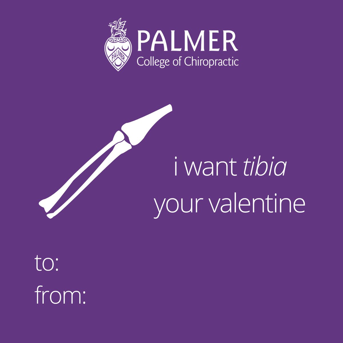 palmercollege's tweet photo. Chiropractic is our valentine this year 💜 https://t.co/ky5IY05bDM