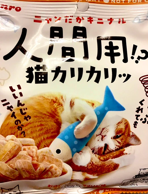 魚介寄りの甘じょっぱい飴! 