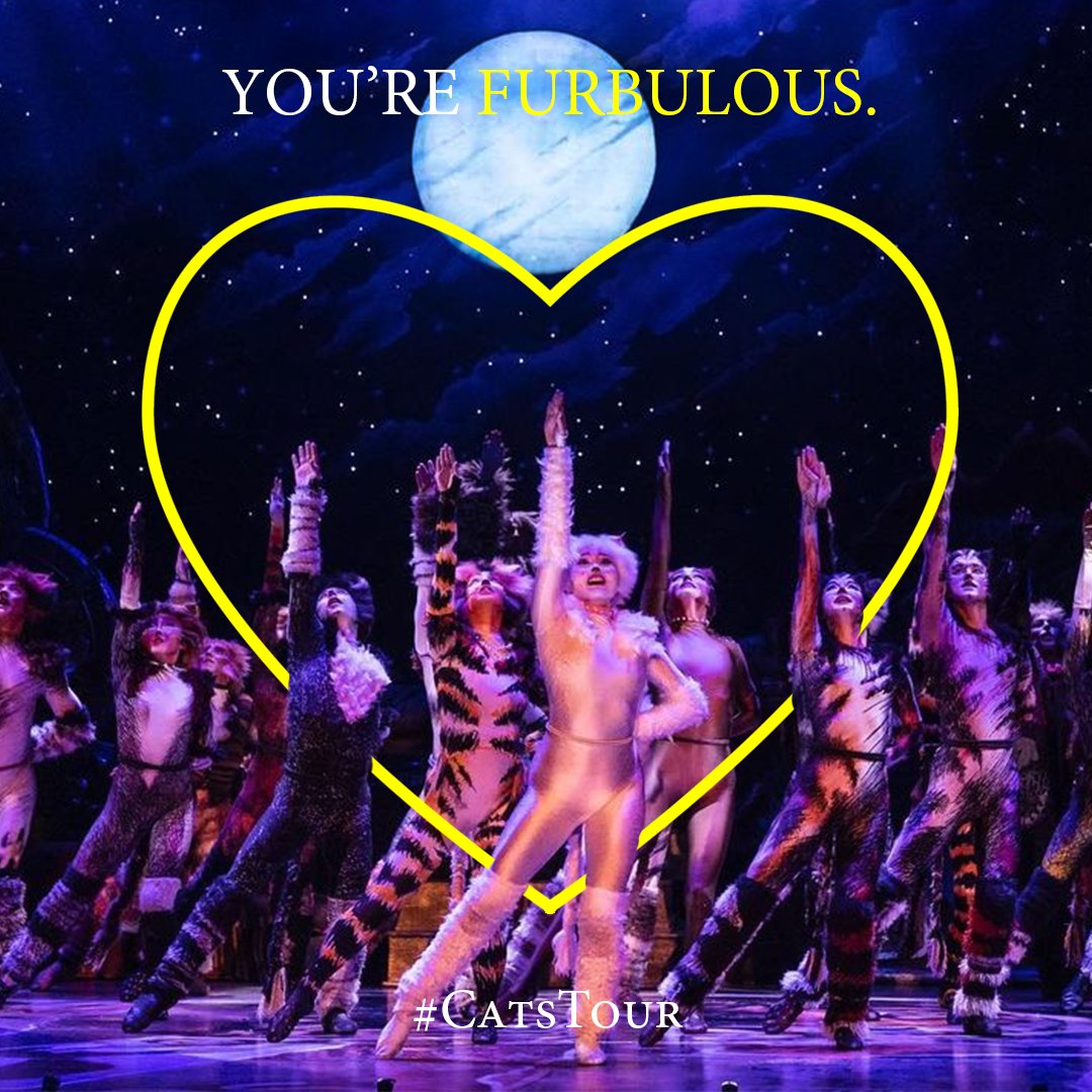BroadwayInBing's tweet photo. Happy Valentine's Day! We think you're FURBULOUS 💝🐾

Maybe your valentine would like some CATS tickets? Date night? 

CATS comes to the Forum March 1 &amp; 2 @ 7:30PM! Purchase your tickets at https://t.co/lpqdRcOx3E 🎟️

Photo📸: Matthew Murphy, MurphyMade https://t.co/HjkZ6Z4snX