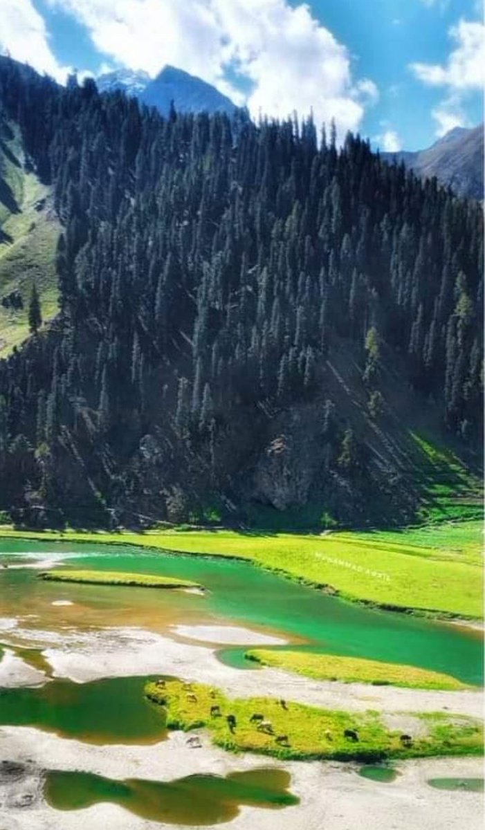 OFFICIAL_PYOP's tweet photo. جلکھڈ کے مقام پر دریائے کنہار کا ایک خوبصورت منظر ، وادئ کاغان #پاکستان https://t.co/NgoUceW1Ae