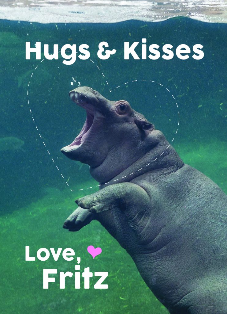CincinnatiZoo's tweet photo. Happy Valentine's Day!  💚 Send valentines featuring your favorite animals to your favorite people! https://t.co/dRlbvIPMOX https://t.co/QEsM5m69j2