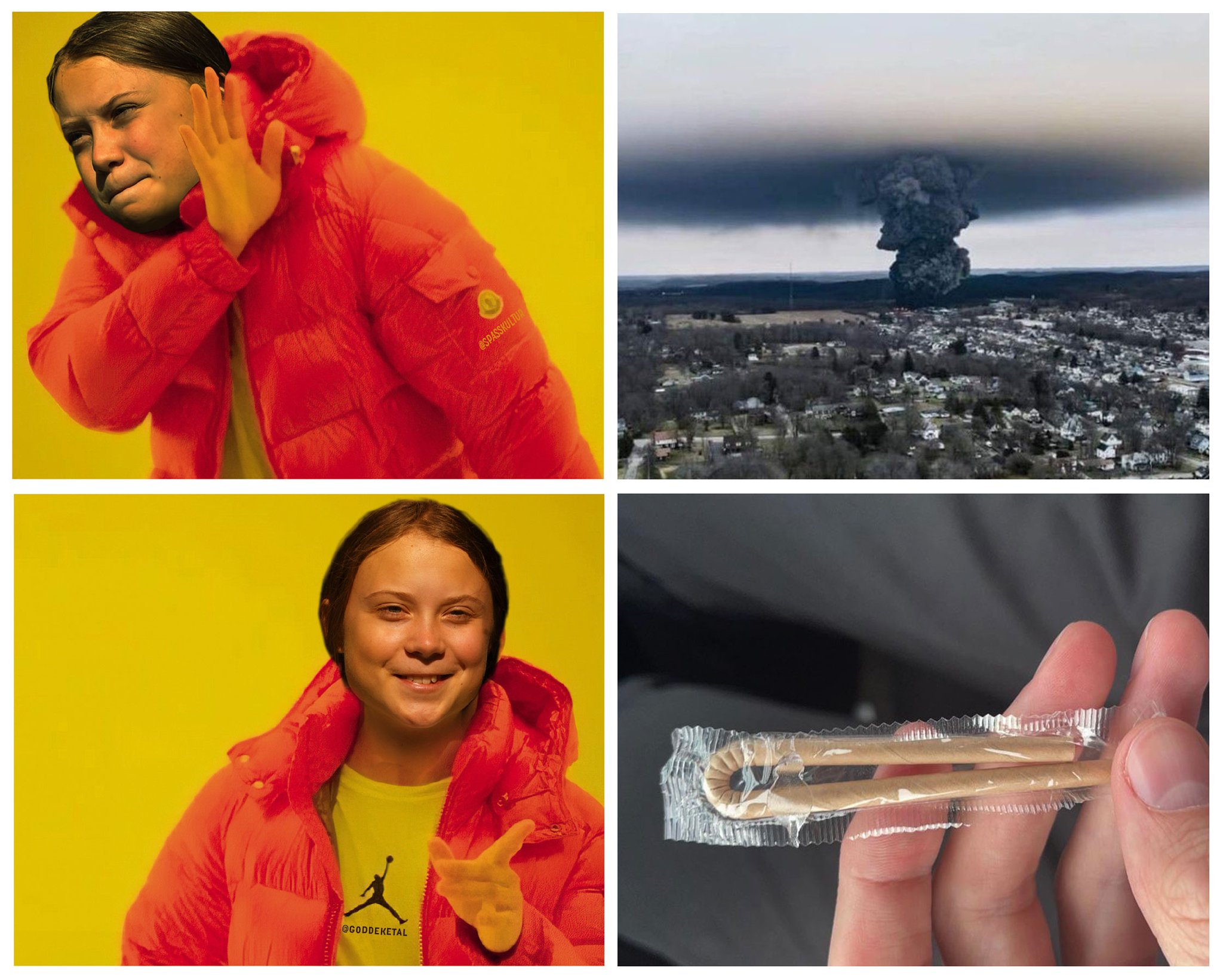 dr-simon-goddek-on-twitter-hey-gretathunberg-where-are-you-https