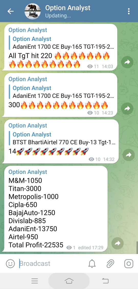 Stock Option Analysis