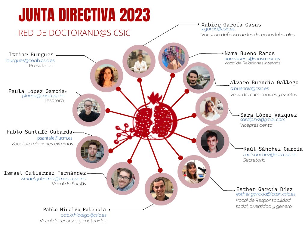 RedDocs_CSIC's tweet photo. Hola, doctorand@s 👋Después de la asamblea anual en diciembre, se formó una nueva junta directiva de la Red. Hoy queremos que nos pongáis nombre y cara ☺️ #reddocs #csic #predocs 1/13 https://t.co/z3D79khREM