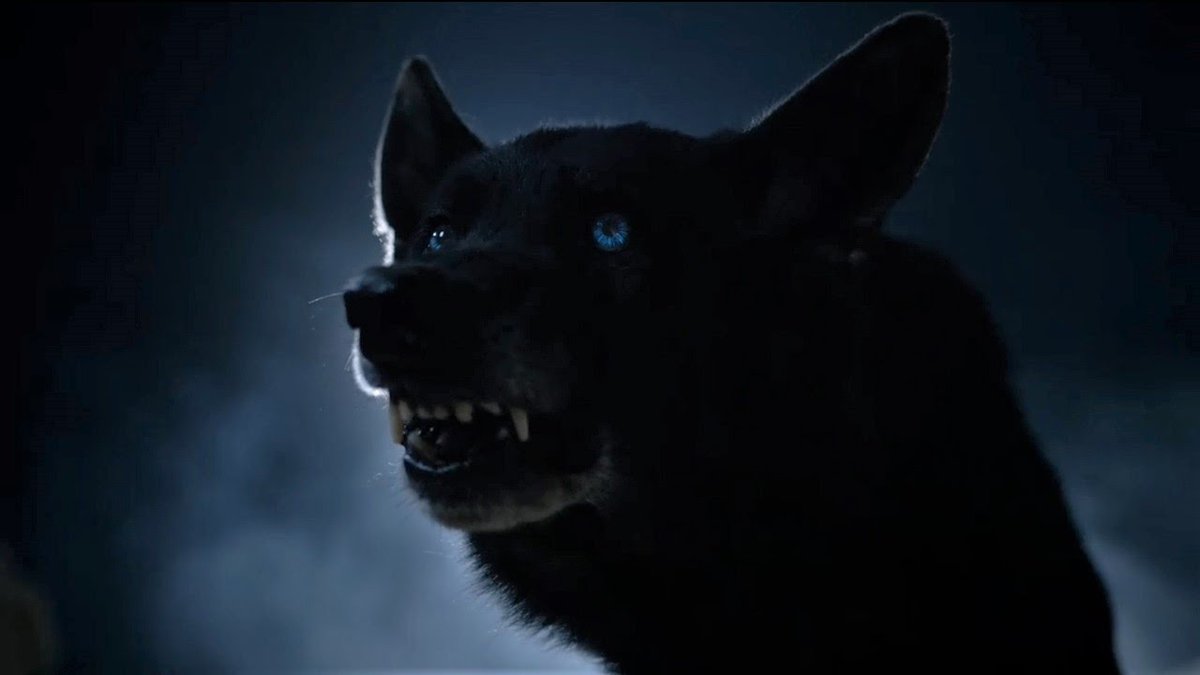Evolved1Wolf's tweet photo. Teen Wolf/ Multiversal RP.
+10 Years experience.
Detailed, Literate.
No Drama.
SFW/NSFW.
Likes and RT’s Appreciated.
Kinks Thread below pinned. 
DNR to pinned. https://t.co/Q1Uo2vUXtG