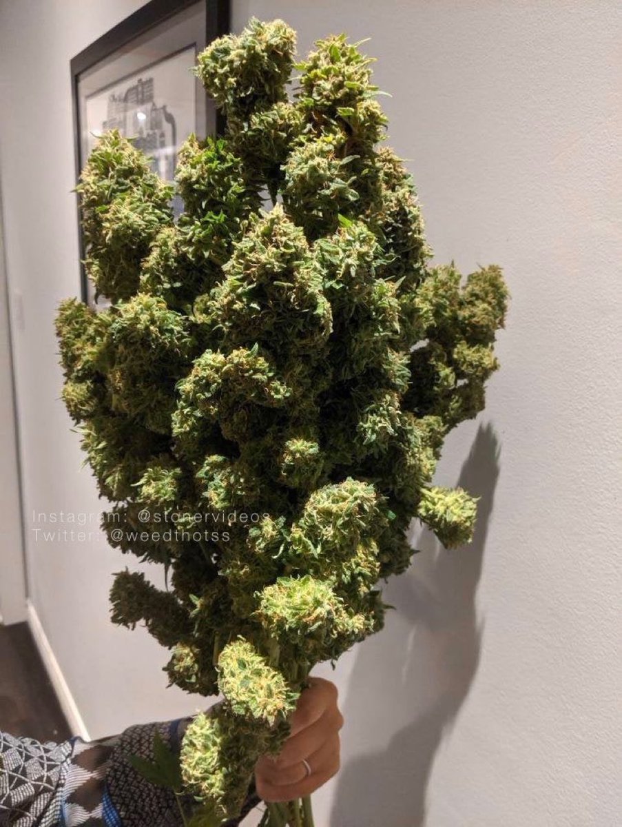 buy her the flowers she really wants on valentines day 💚