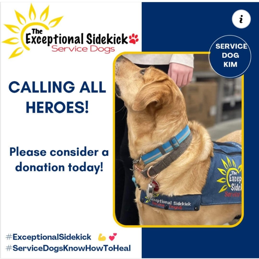 ExceptionalSDs's tweet photo. Dedicated to providing trained service dogs to teens &amp; young adults in need, but we can't do it without your help! Donations are essential to continuing our mission to make a positive impact on people's lives.  DONATE NOW:
https://t.co/ewCtos9lPk

#ServiceDogsKnowHowToHeal 🐾❤️ https://t.co/XxJUHx5iCc