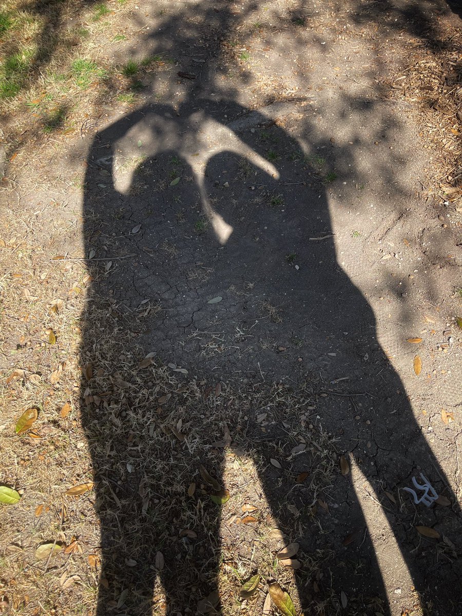 TeeandPoiised's tweet photo. ❤️❤️Happy Valentine’s Day!!❤️❤️ https://t.co/EgXK0xvBev