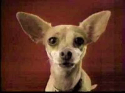 DEATH BATTLE! Taco Bell Chihuahua &amp; Sam Hyde with the Dual Gun Solemn Lament vs Alex Mason 