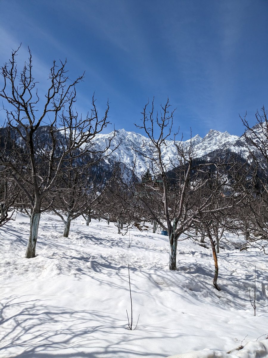 gauravgilalkar's tweet photo. Solang Valley 1/6
#wintermanali #snow #ShotOnGooglePixel6A #HimachalPradesh #ValentinesDay #mountains #horse #horseride #skiing #selfie #CoupleGoals #couples #google #pixel6a https://t.co/gHPPxz3uxt