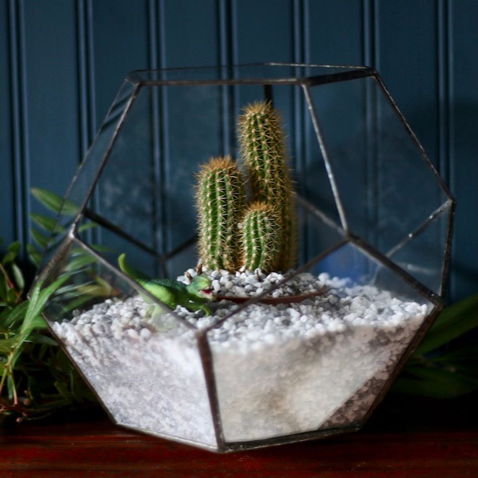 anythingasagift's tweet photo. Thinking of a gift for yourself or a friend? Check out WildBird Studio in the heart of Dublin. In her studio Alison produces beautiful stained glass items and holds workshops.

https://t.co/jvVT0LJ7o6

#Ireland #Sustainable #Ecofriendly #gifting #NewFrontiers @RDC_DkIT https://t.co/JttZFhTcnh