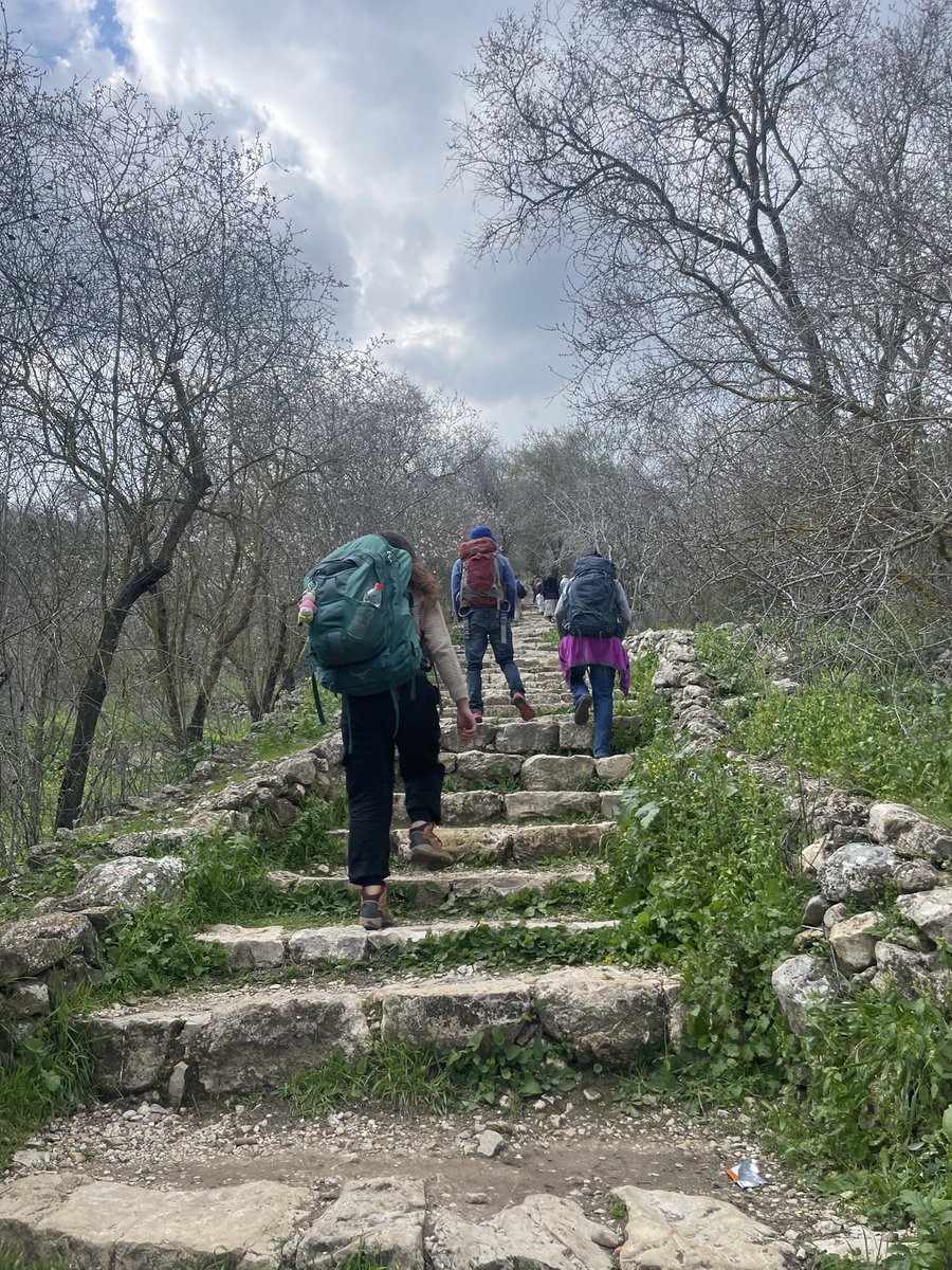 Ben-Zvi lab tweet media