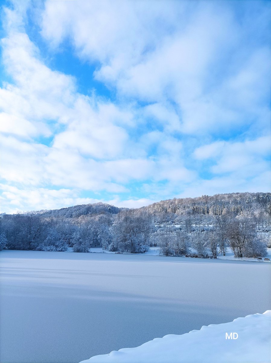 Martina Dvorská (@martinadvorsk2) on Twitter photo 