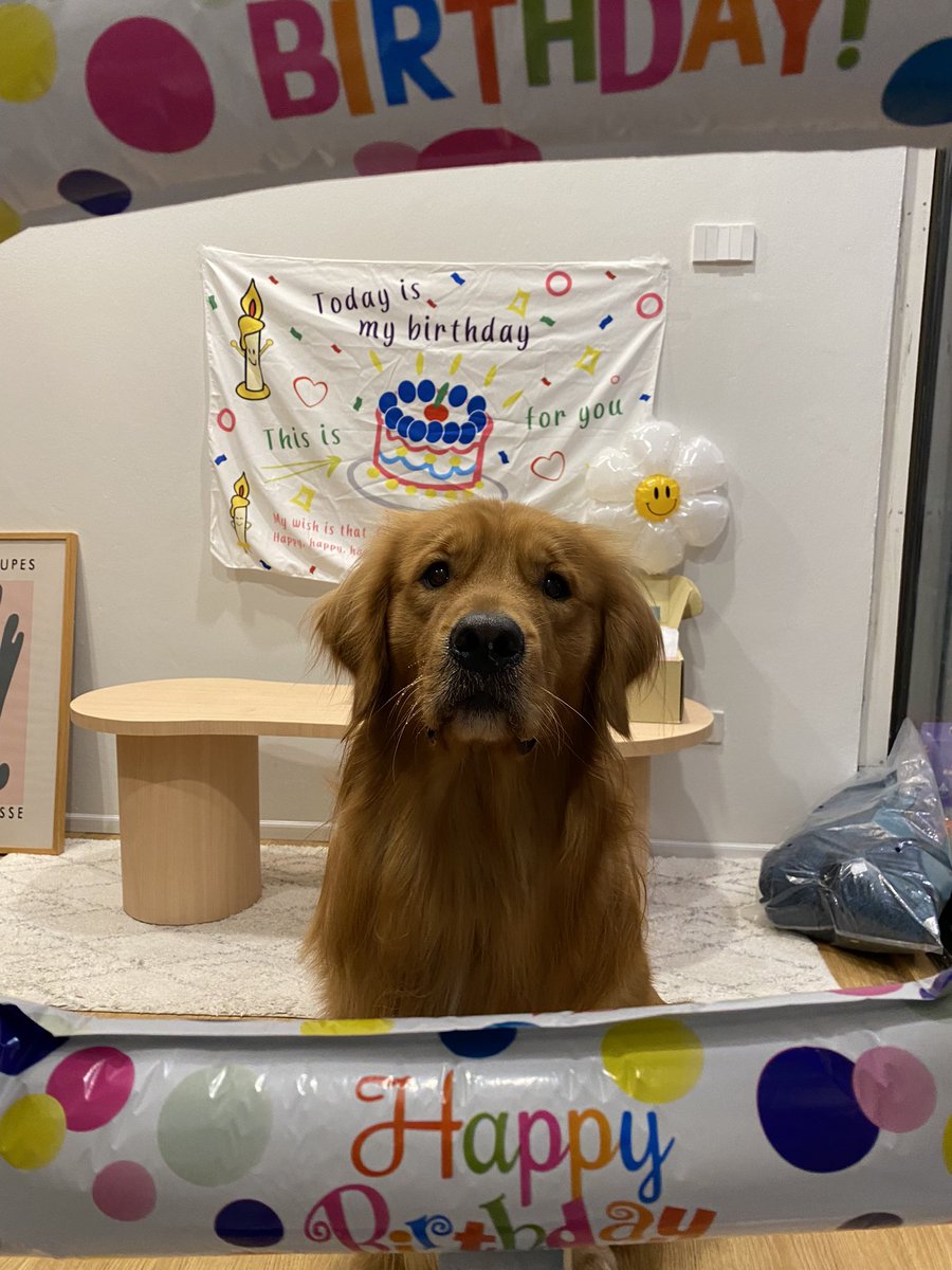 kkingtothekong's tweet photo. แฮปปี้เบิร์ดเดย์แจฮยอน เอ้ย🤧 แฮปปี้เบิร์ดเดย์คิงคอง🥳 ร้ากเด็กซนคนนี้ที่ฉุด โตไปด้วยกันอยู่ด้วยกันทุกวาเลนไทน์แบบนี้ไปนานๆเล้ย https://t.co/DjVfNTNJXp