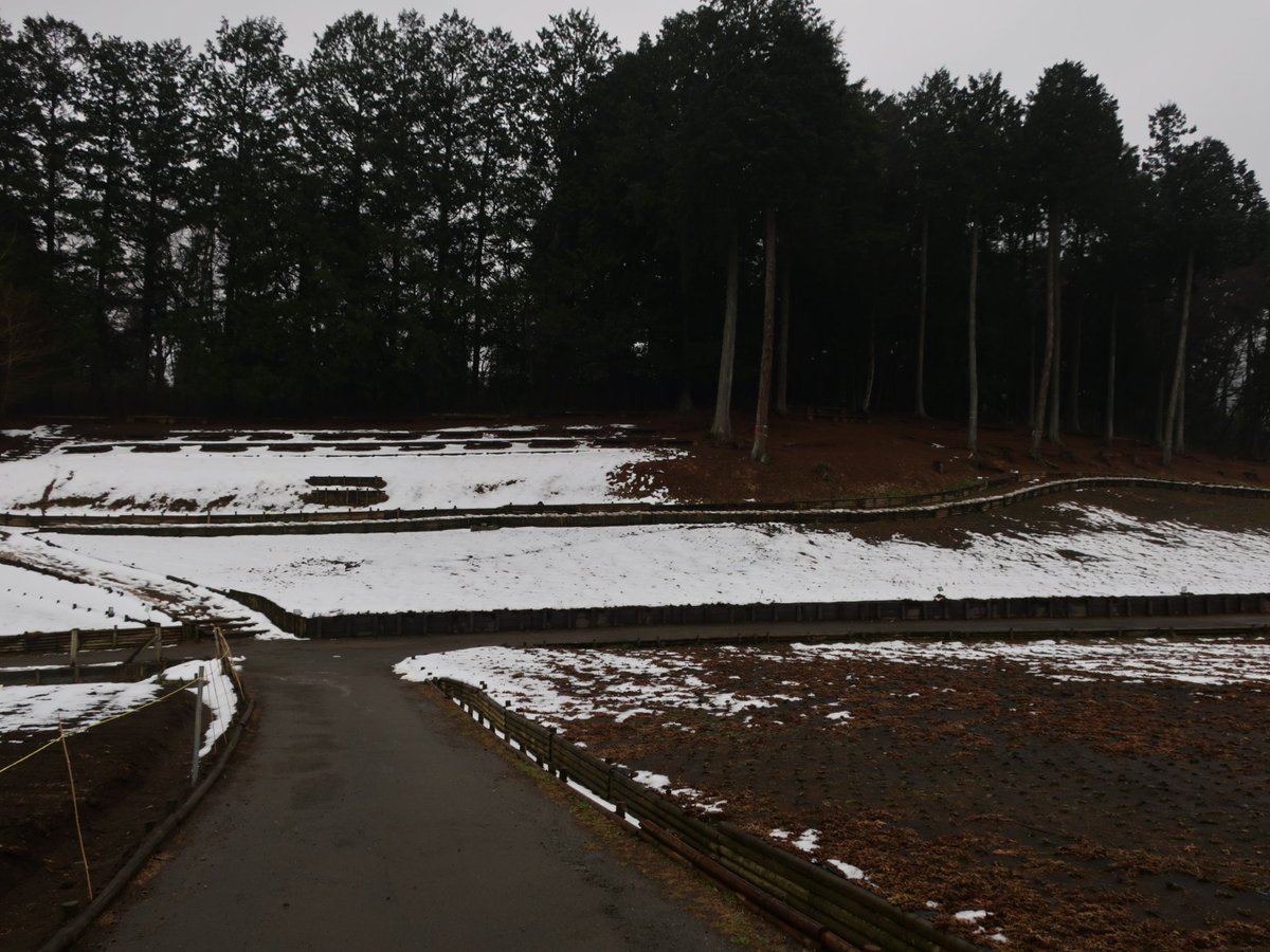 buddha0123's tweet photo. 羊山公園に芝桜を見に行ってきた。もしかしたらちょっとシーズンが早すぎたかもしれない。 https://t.co/rPCQXCLlWz