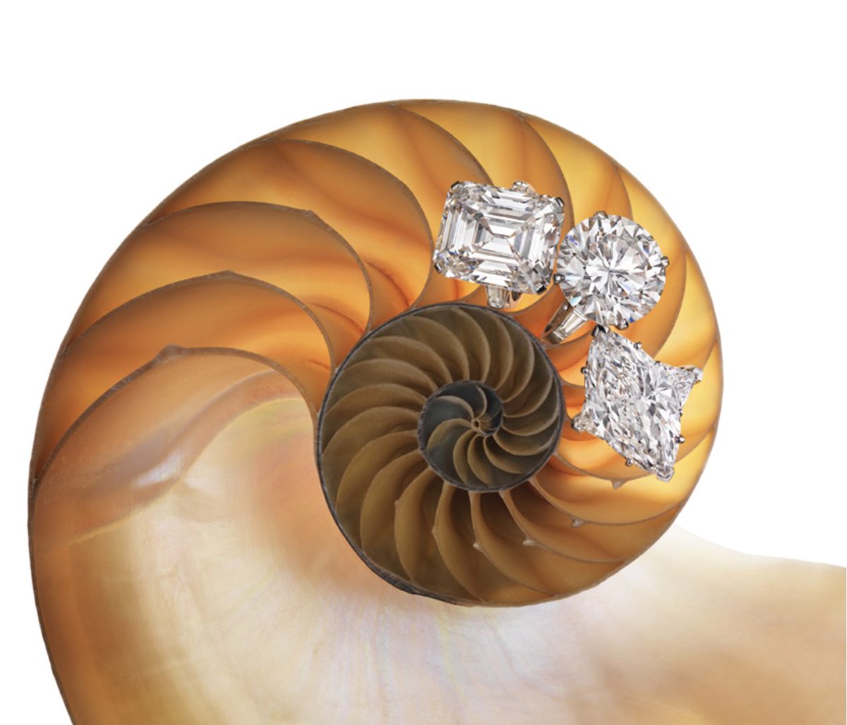 c_darvill_'s tweet photo. Graeme Montgomery's attention to detail, creativity, technical skill, and understanding of jewellery all contribute to creating visually stunning images that showcase the beauty of each piece. He truly understands the art of jewellery photography. https://t.co/nDSTwqvDCO
