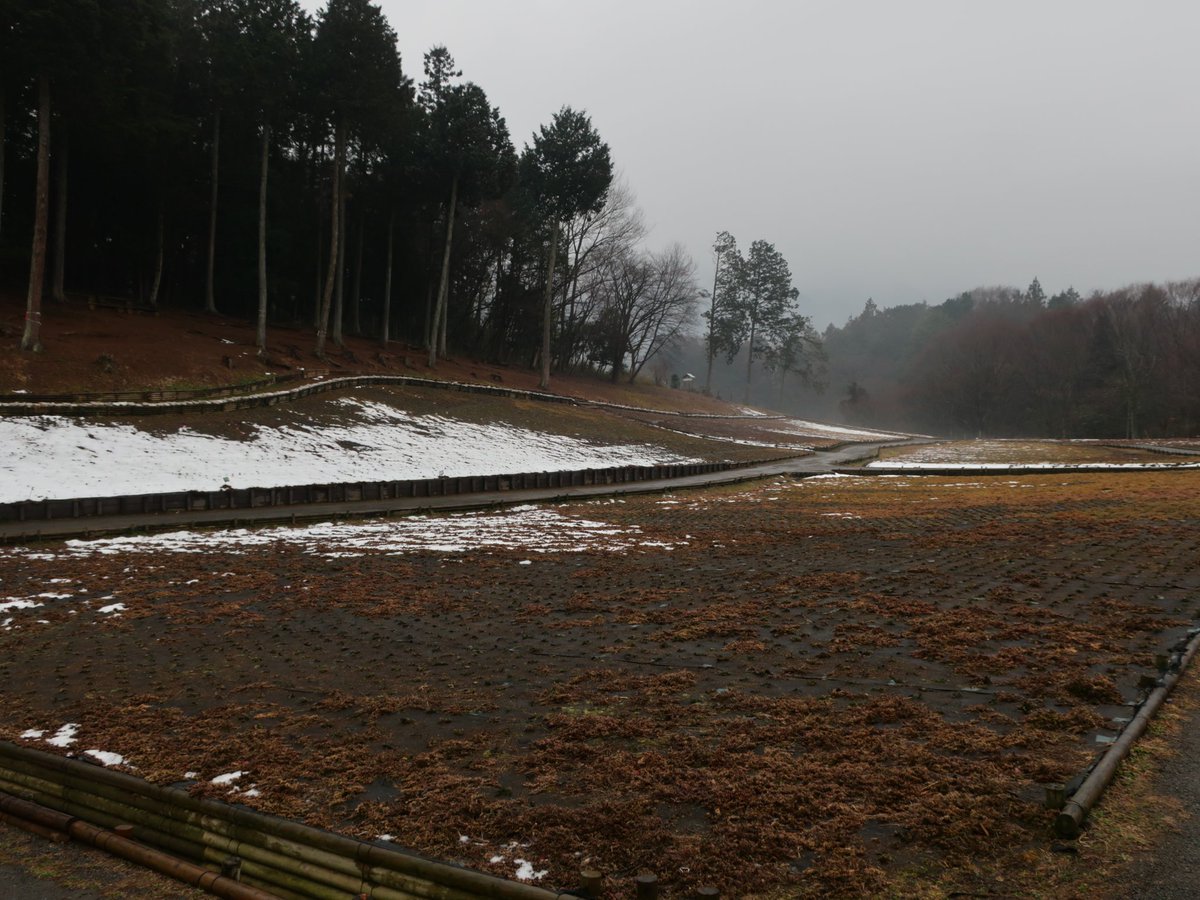 buddha0123's tweet photo. 羊山公園に芝桜を見に行ってきた。もしかしたらちょっとシーズンが早すぎたかもしれない。 https://t.co/rPCQXCLlWz