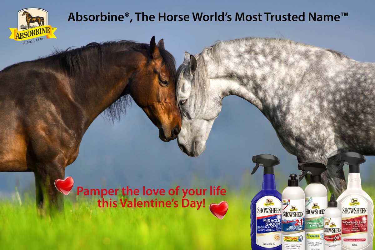 #ValentinesDay2023 Best friends! #lovemyhorse