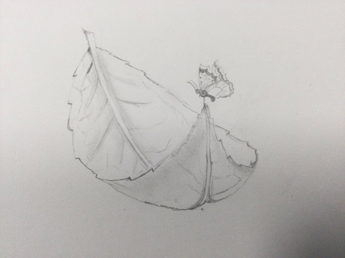 HBJSCH63's tweet photo. This afternoon 6TW have been looking at leaves in preparation for our final piece of work based on the artist Henri Rousseau. #HBJS6TW #HBJSArt https://t.co/n3pR9ti87V