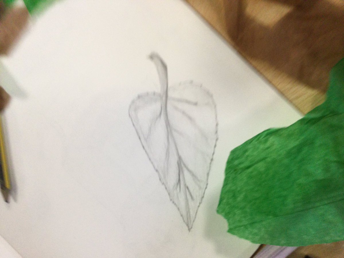 HBJSCH63's tweet photo. This afternoon 6TW have been looking at leaves in preparation for our final piece of work based on the artist Henri Rousseau. #HBJS6TW #HBJSArt https://t.co/n3pR9ti87V