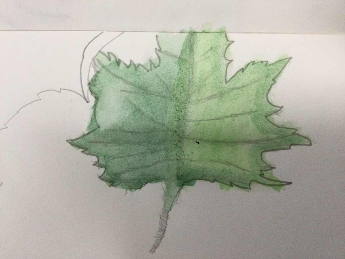 HBJSCH63's tweet photo. This afternoon 6TW have been looking at leaves in preparation for our final piece of work based on the artist Henri Rousseau. #HBJS6TW #HBJSArt https://t.co/n3pR9ti87V
