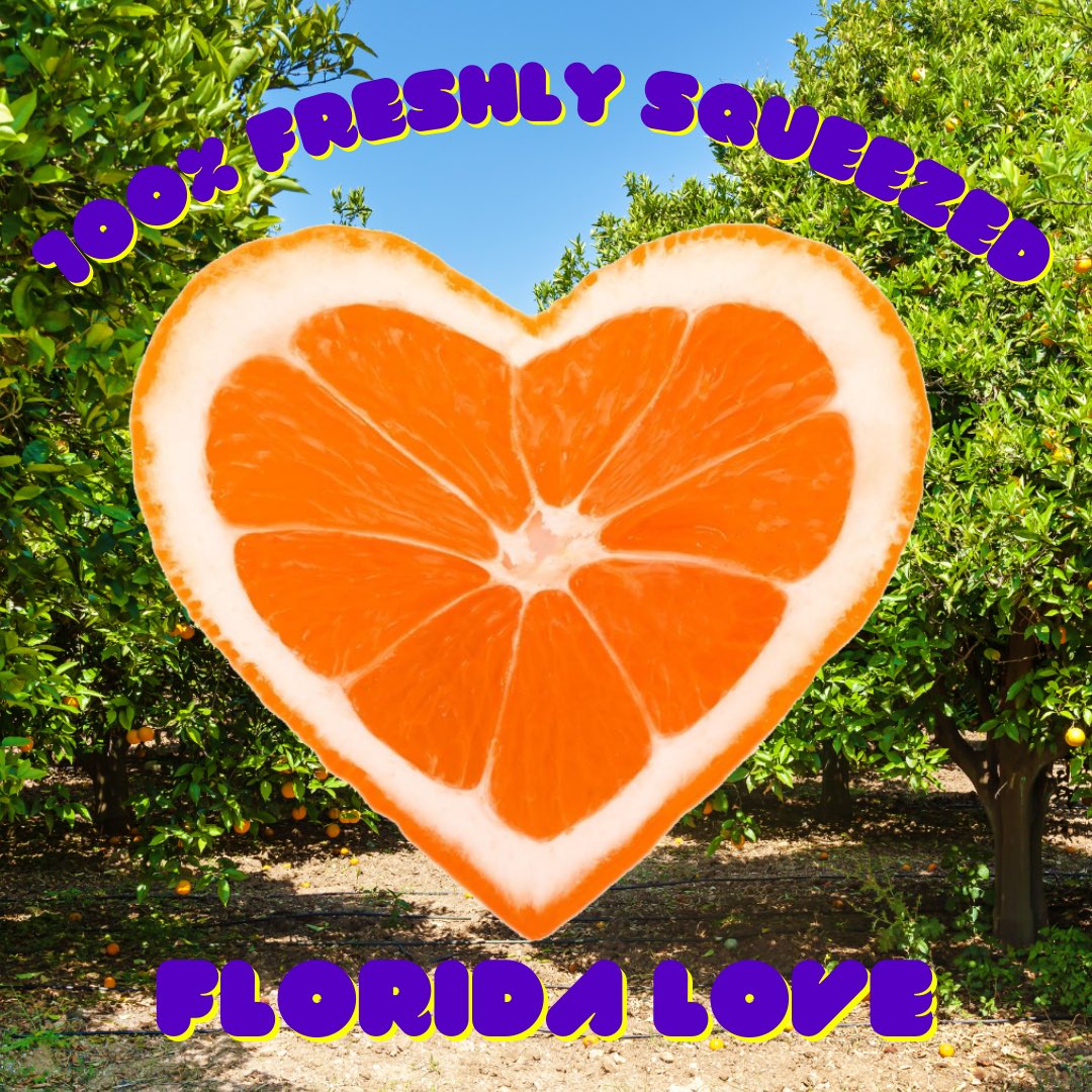 Sun Harvest Citrus I Exceptional Fresh Citrus 🍊 (@sunharvest_) on Twitter photo 