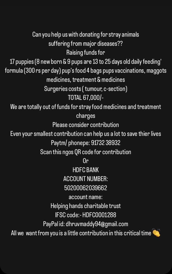 HelpingHandsahm's tweet photo. Can you donate 100/200 for extremely injured dogs treatment and medicines?? https://t.co/SCMHS9h1Bl