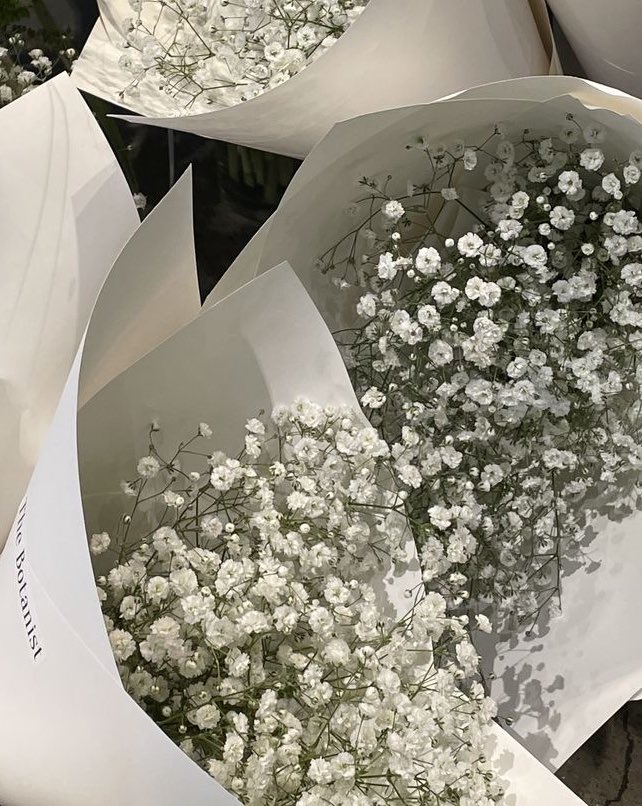 ยิปโซ (น.)
ดอกไม้แห่งรักแรก หมายถึงว่า ”คุณเป็นรักแรกของผม” หรือ ”ผมตกหลุมรักคุณแต่ครั้งแรกที่เจอ” , รักแรกของหลายๆคนคงเป็นที่ความรักที่ยังลืมไม่ได้มาจนถึงวันนี้ เหมือนกับดอกยิปโซที่ถึงแม้จะเป็นดอกไม้แห้งแต่ก็ยังสวยและน่าจดจำ :-)