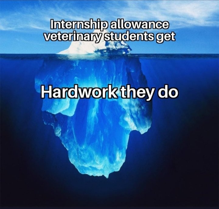 Ndvsu_mp's tweet photo. Eliminate the disease of discrimination 
Increase MP Vet stipend
#increaseMPvetStipend
#increase_MP_Vet_Stipend
#mp_vets
#ndvsu
@aajtak
@zeenews
@OfficeofSSC
@governorMP
@RewaCollector
@mpdahd
@News18MP
@BJP4India
@INCIndia
@ABVPMB
@NSUIMP
@DrMohanYadav51
@GovernorMP https://t.co/h6nmdLFJ7f